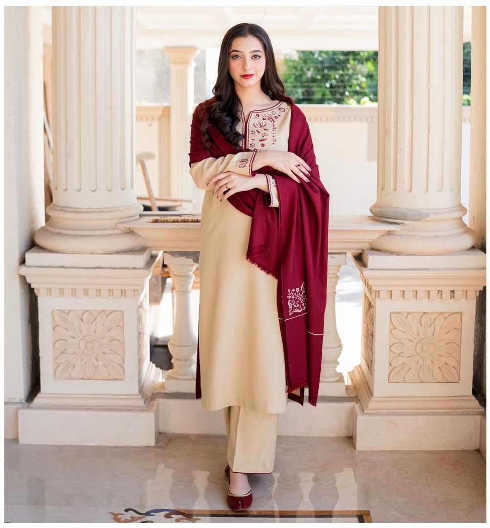 AISLING Embroidered Dhanak Fency 3pcs Vol 0103