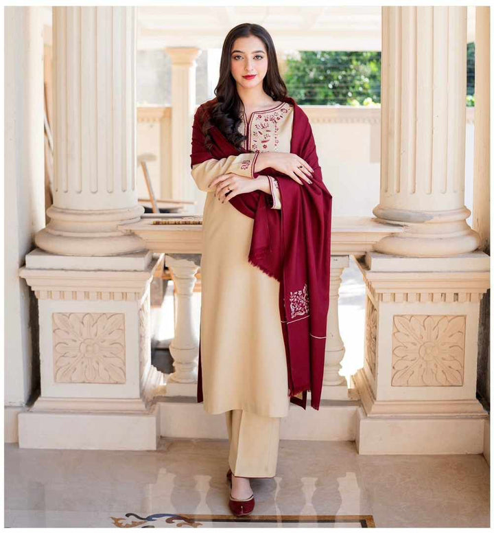 AISLING Embroidered Dhanak Fency 3pcs Vol 0103