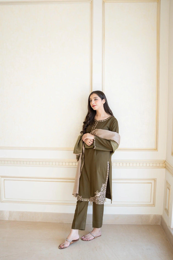 AISLING Embroidered Dhanak Fency 3pcs Vol 0117