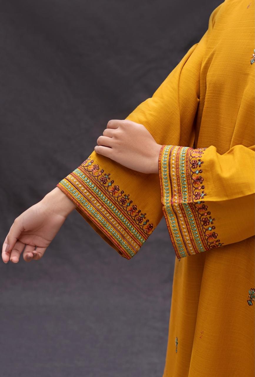 Summer Lawn 3pcs Embroidery Collection AYL3-11004